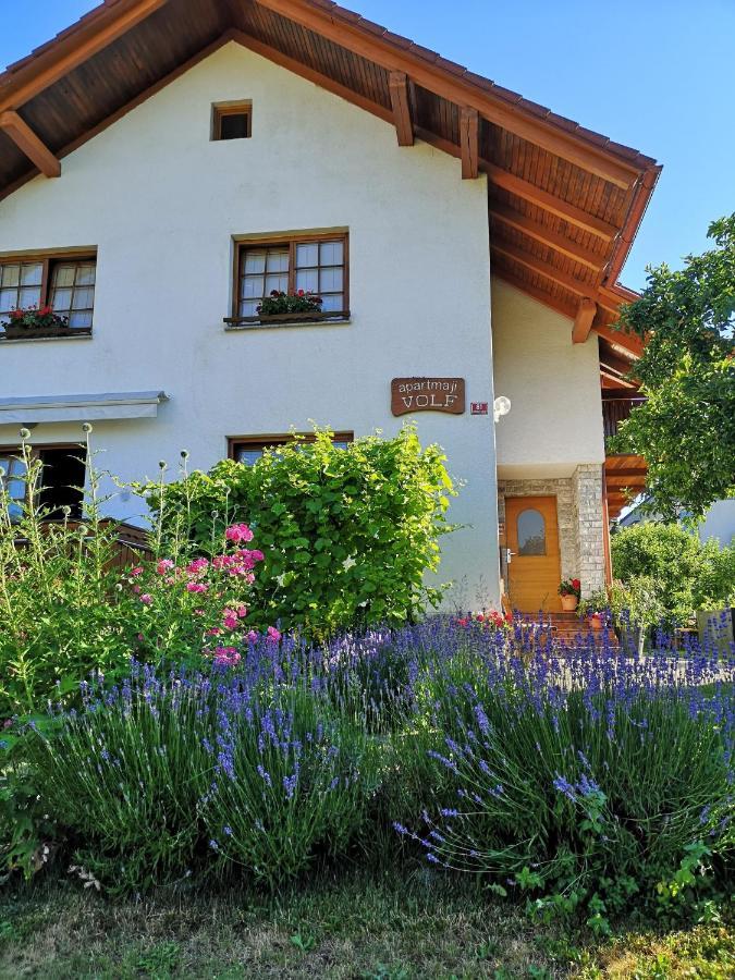 Apartmaji Volf Zgornje Gorje Exterior photo
