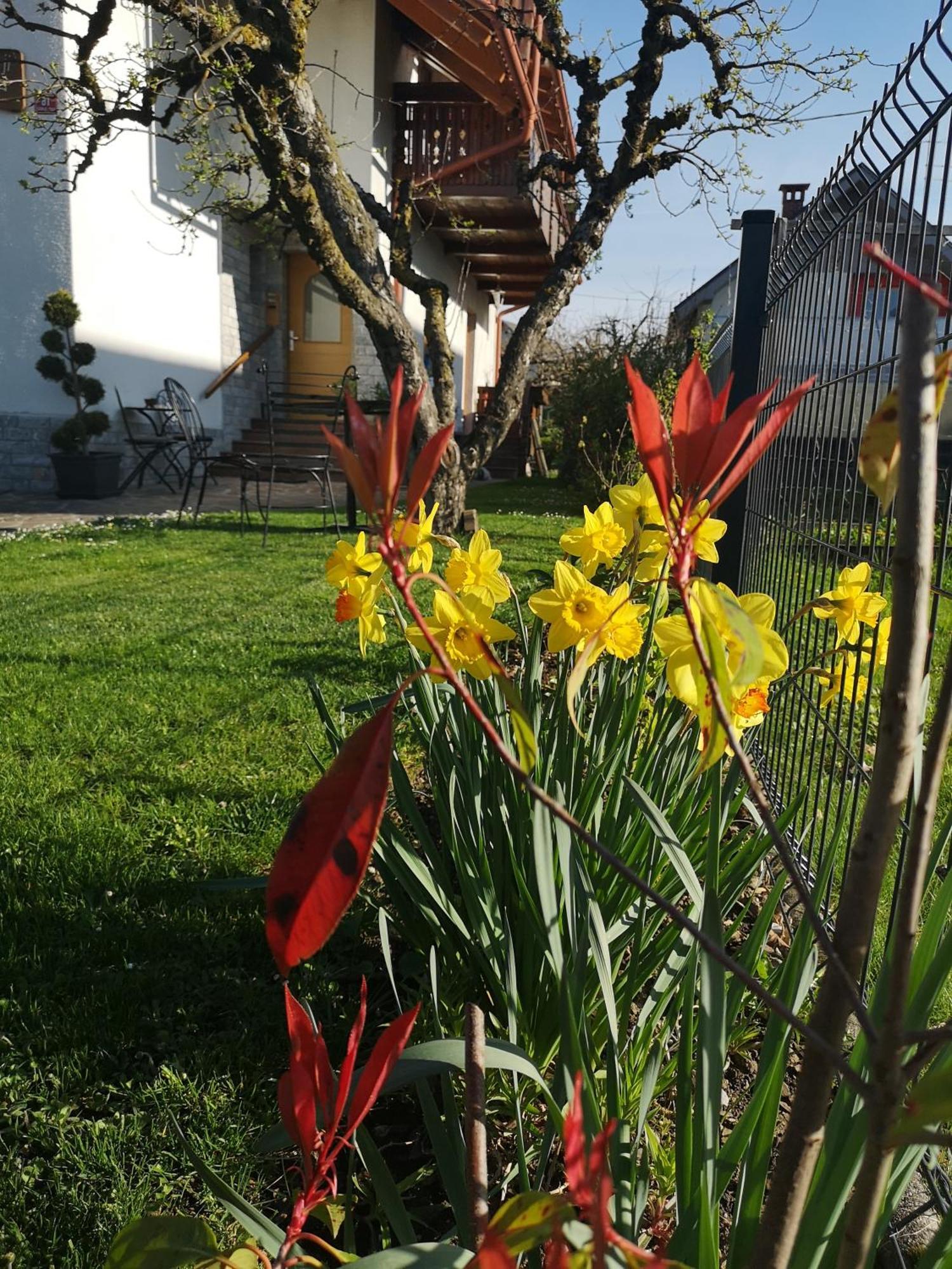 Apartmaji Volf Zgornje Gorje Exterior photo