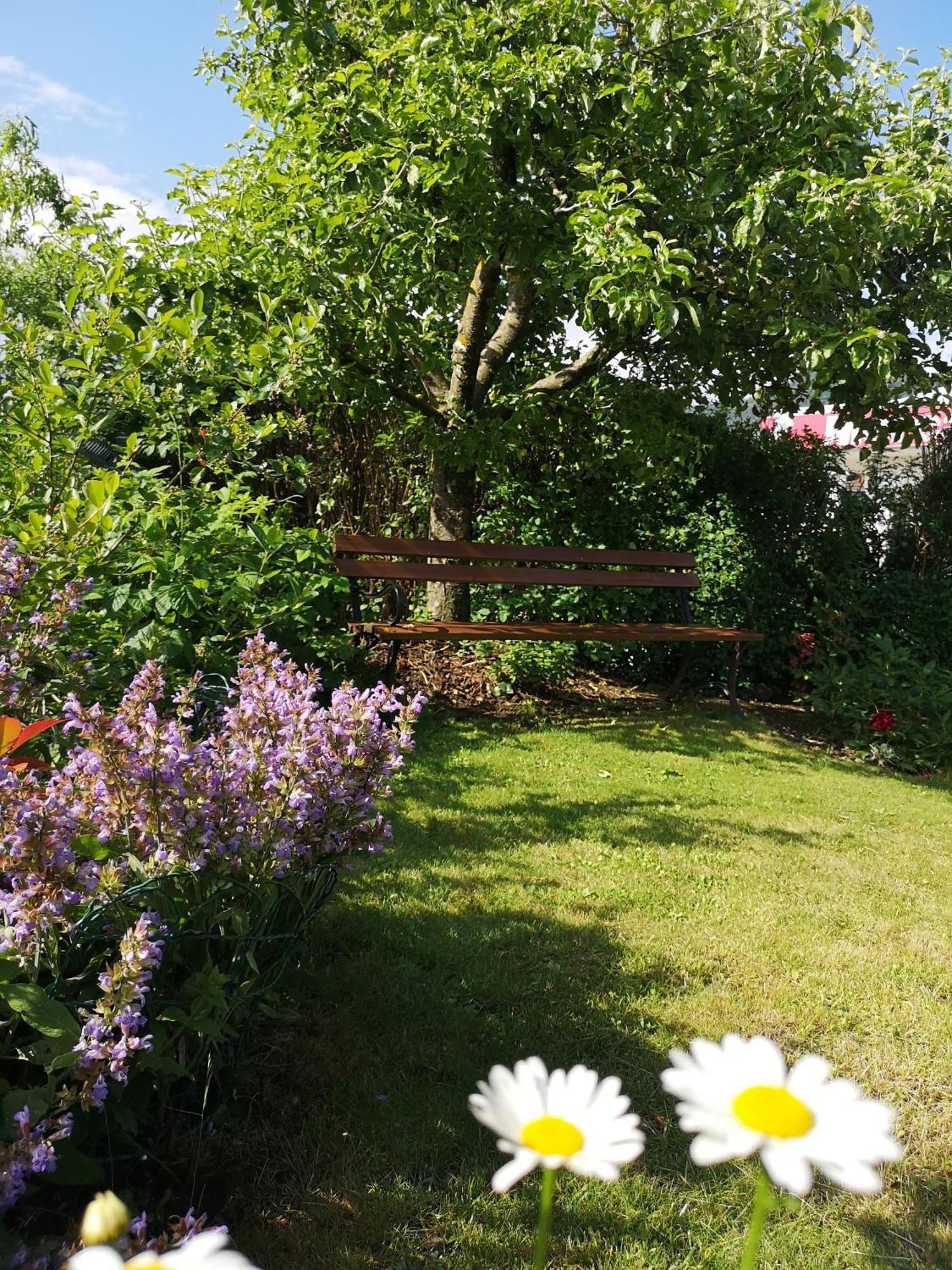 Apartmaji Volf Zgornje Gorje Room photo